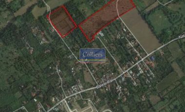 4.9 Hectares Raw Land for Sale in Tanauan, Batangas
