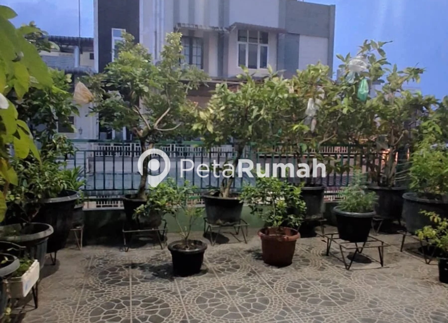 place photo 7