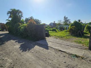 Tanah jantuk angsa pererenan canggu
