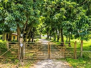 For Sale: 28,989 sqm. Lot in Baras, Rizal