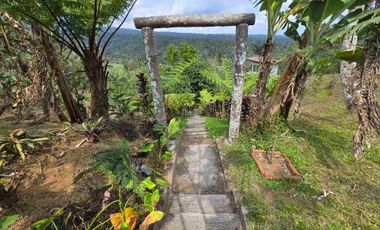 Dijual tanah bonus villa dengan view gunung sawah dan lembah di bali
