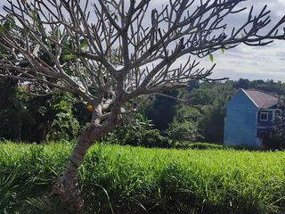 For sale: Lot at MetroGate Silang Estates (Silang Cavite)