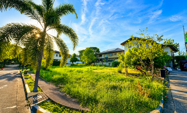 For Sale: 333sqm Corner Lot in Palms Pointe Filinvest Alabang | Near Ayala Alabang Village, Clean Title, Price Dropped to ₱49.95M