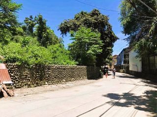 Prime Commercial / Residential Lot For Sale in Tanqui, San Fernando City, La Union