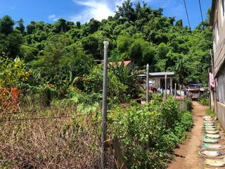 Residential Lot just 290 Meters to the Highway, 1.8 KM to SM Elyu! Prime 732 SQM Lot in San Fernando La Union