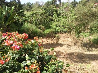 For Sale -- Ponderosa Lot in Silang Cavite