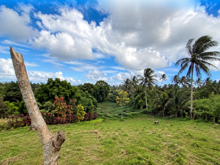5-HECTARE PRIME LAND FOR SALE | CALAMBA, LAGUNA NEAR NUVALI & TAGAYTAY
