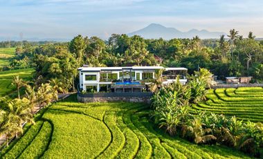 Secure Your Luxury Freehold Asset in Bali’s Fast Growing Green Zone.