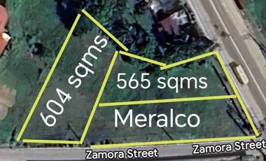 Commercial Corner Lots for Sale beside Naic Doctors Hospital, along Governor's Drive / Remulla Avenue Cavite