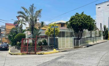 Plainview Subdivision | House & Lot For Sale - #10590