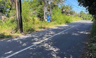 TANAH BONUS BANGUNAN - 1 Hektar di Jln Utama Belimbing Sari Pecatu