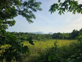 2.36-Hectare Agricultural Land for Sale | Taal Lake View | Tanauan, Batangas