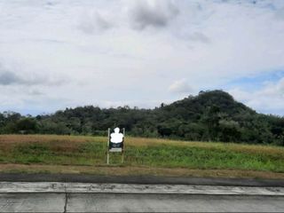 Corner Lot for Sale in Ayala Greenfield Estate Laguna
