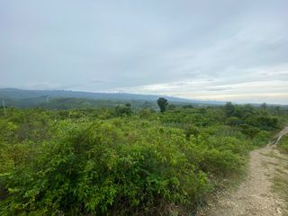 4.8 Hectare Agricultural Lot in Alcantara Cebu