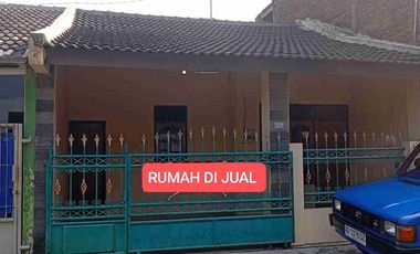 rumah