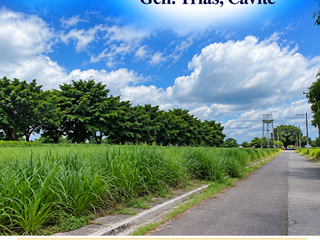 355 SQM | LOT FOR SALE | EAGLE RIDGE GOLD AND RESIDENTIAL ESTATE | GENERAL TRIAS CAVITE