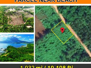 Tropical Homestead Estate Near Beach