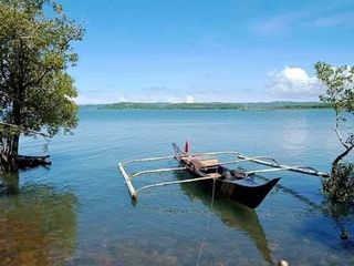 2.2 hectares Front Beach Guimaras