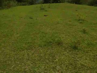 For Sale:FARM LOT FOR SALE | ARGAO, CEBU with Lot Area of 35,417SQM