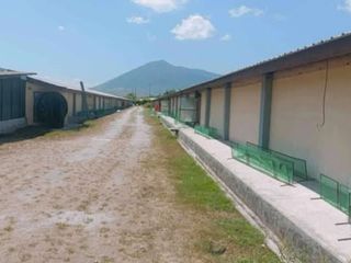 Fully Operational Poultry Farm for sale