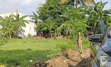 Jual tanah murah