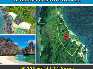 Matinloc Island Portion Exotic Calusa Beach Coves