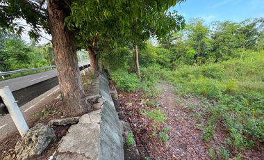 Prime Highway Commercial/Residential Lot for Sale in Palanas, Alcantara, Cebu | LA: 3,542 | 6,500 per sqm