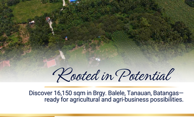 16,150 sqm Farm Land for Sale – Brgy. Natatas, Tanauan, Batangas