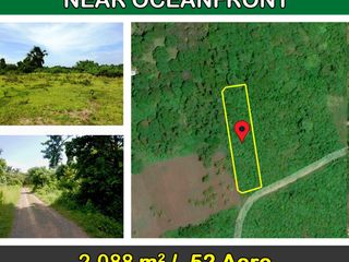 Agri-Estate with Commercial Potential Near Beach