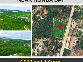 Titled Land-Commercial Lot for Sale Near Honda Bay