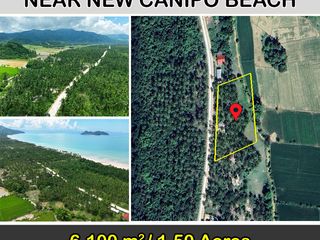 Commercial-Ready Estate Near Beach