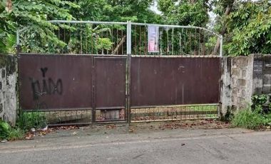 For Sale: Prime 6,342sqm Residential/Farm/Investment/Development Lot in Darasa, Tanauan City, Batangas