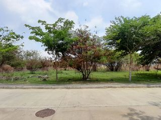 3.8 Hectare Industrial Property For Sale in Cavite Technopark, Naic, Cavite