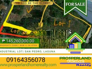 INDUSTRIAL LOT FOR SALE IN SAN PEDRO, LAGUNA❗