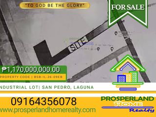 INDUSTRIAL LOT FOR SALE IN SAN PEDRO, LAGUNA❗