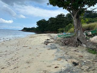 LOWEST PRICE 16-HECTARE TITLED BEACHFRONT IN TALISAY, DAANBANTAYAN, CEBU