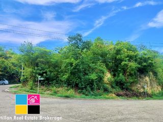 CORNER LOT RUSH FOR SALE INSIDE MARIA LUISA NORTH HERITAGE MANDAUE CEBU