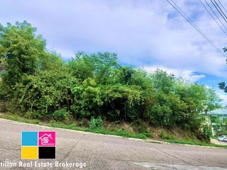 RUSH FOR SALE CORNER LOT INSIDE HERITAGE SUBDIVISION MANDAUE CEBU
