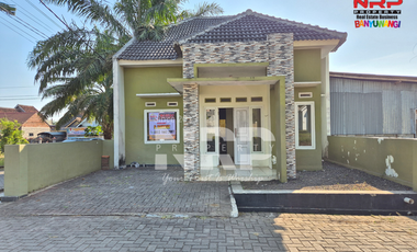 Dijual Rumah Modern Hook di Genteng- Banyuwangi