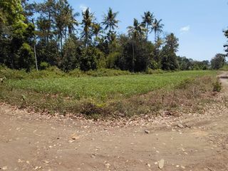 Dijual Tanah Cocok untuk Usaha di Selatan Plempangrejo Srono Banyuwangi