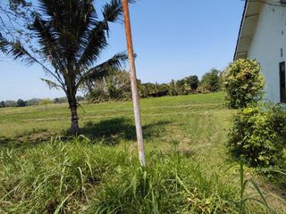 Dijual Tanah Cocok untuk Usaha di Parijatah Kulon Srono Banyuwangi