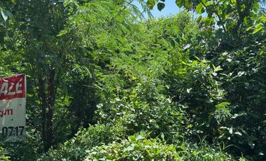 unobstructed sea view lot in Talibeach Subdivision