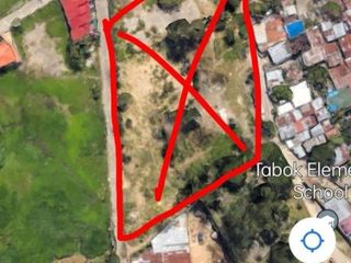 4,000 SQM LOT FOR SALE – TABOK, MANDAUE CITY
