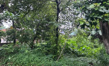 FOR SALE! 2 ADJACENT RESIDENTIAL LOTS Filinvest Heights Subdivision | Capitol District, Quezon City