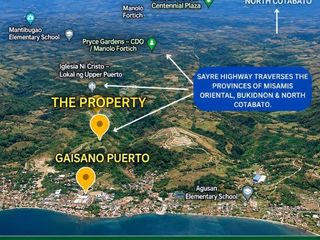 For Sale | 28,345 sqm Lot in Upper Puerto along Highway