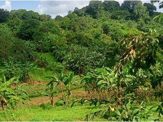 FOR SALE - Vacant Lot in Araneta, San Jose Del Monte, Bulacan