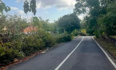 DIJUAL / DISEWAKAN TANAH PREMIUM DI DREAMLAND, PECATU