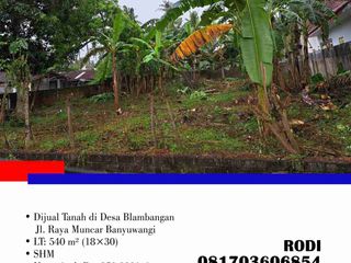Dijual Tanah di Desa Blambangan Jl. Raya Muncar Banyuwangi