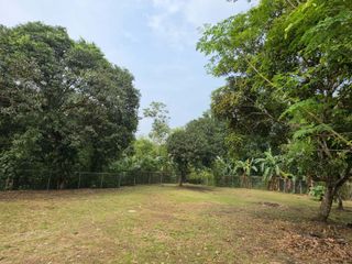FARM LOT FOR SALE IN BANABA CERCA INDANG CAVITE-MC