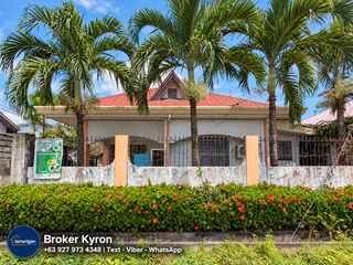 HOUSE AND LOT FOR SALE - Minane, Concepcion, Tarlac